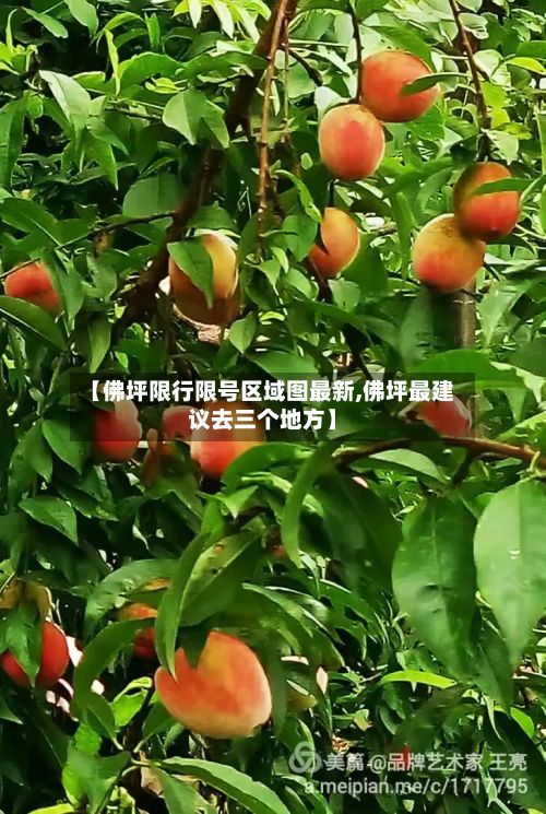 【佛坪限行限号区域图最新,佛坪最建议去三个地方】-第2张图片