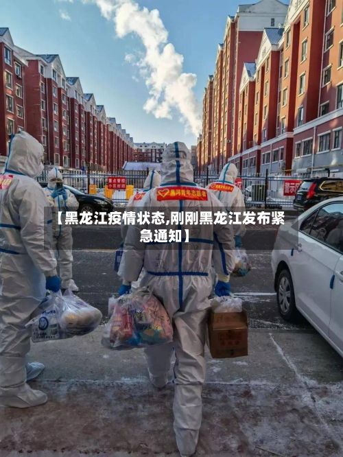 【黑龙江疫情状态,刚刚黑龙江发布紧急通知】-第2张图片