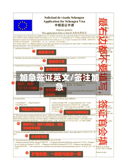 加急签证英文/签注加急