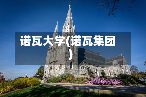 诺瓦大学(诺瓦集团)