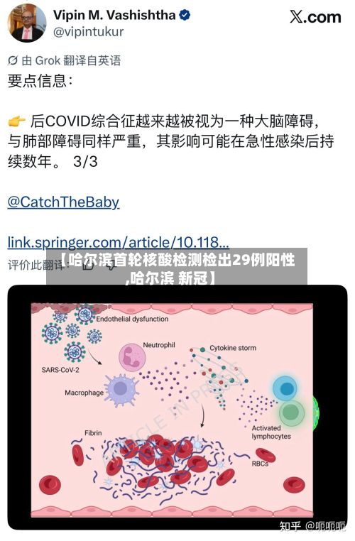 【哈尔滨首轮核酸检测检出29例阳性,哈尔滨 新冠】