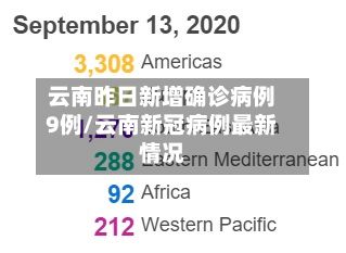 云南昨日新增确诊病例9例/云南新冠病例最新情况-第3张图片