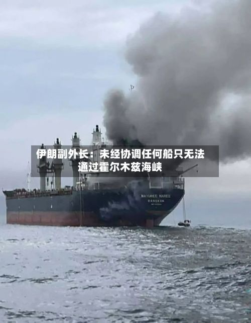 伊朗副外长：未经协调任何船只无法通过霍尔木兹海峡-第2张图片