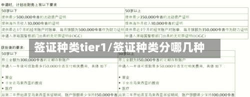 签证种类tier1/签证种类分哪几种