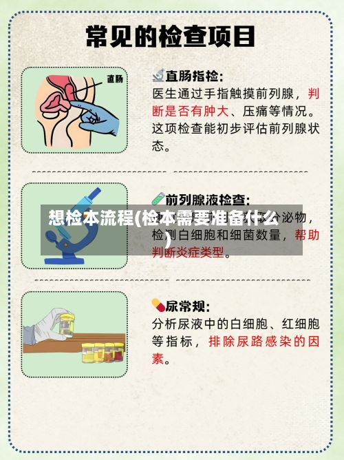 想检本流程(检本需要准备什么)