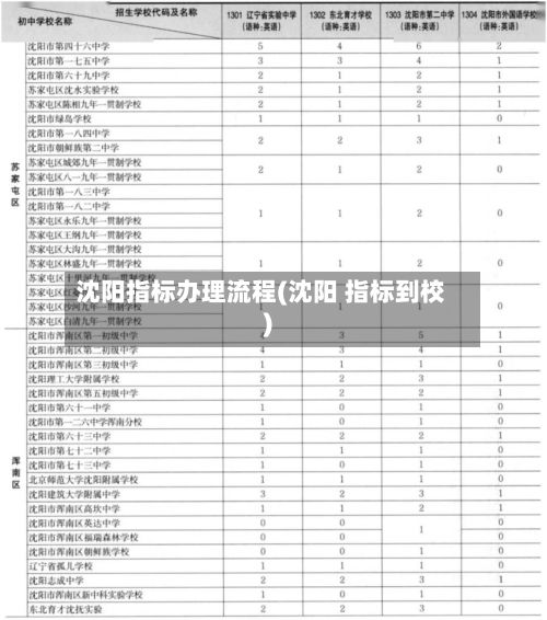沈阳指标办理流程(沈阳 指标到校)