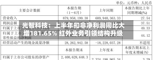 光智科技：上半年扣非净利润同比大增181.65% 红外业务引领结构升级-第1张图片