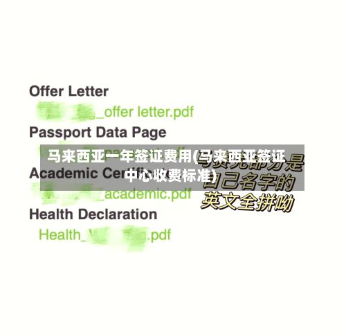 马来西亚一年签证费用(马来西亚签证中心收费标准)-第3张图片