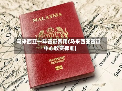 马来西亚一年签证费用(马来西亚签证中心收费标准)-第2张图片