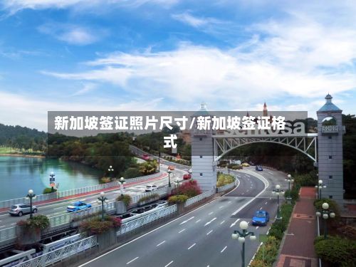 新加坡签证照片尺寸/新加坡签证格式
