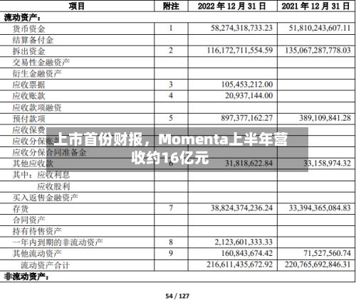 上市首份财报，Momenta上半年营收约16亿元