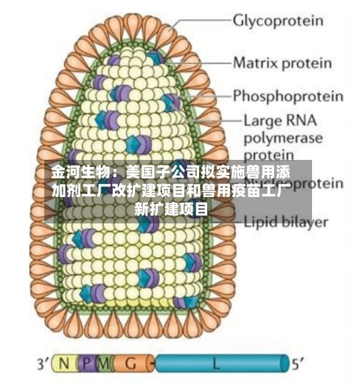 金河生物:美国子公司拟实施兽用添加剂工厂改扩建项目和兽用疫苗工厂新扩建项目-第2张图片