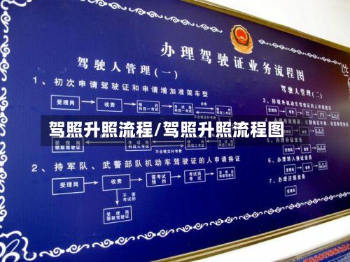 驾照升照流程/驾照升照流程图