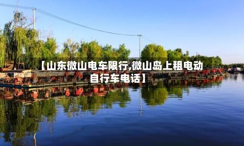 【山东微山电车限行,微山岛上租电动自行车电话】-第2张图片