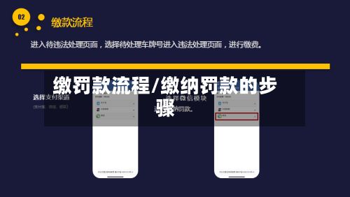缴罚款流程/缴纳罚款的步骤-第2张图片
