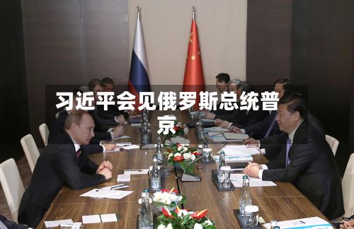 习近平会见俄罗斯总统普京-第2张图片