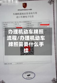 办理机动车牌照流程/办理机动车牌照需要什么手续