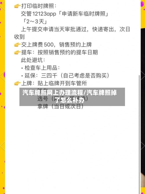 汽车牌照网上办理流程/汽车牌照掉了怎么补办-第2张图片