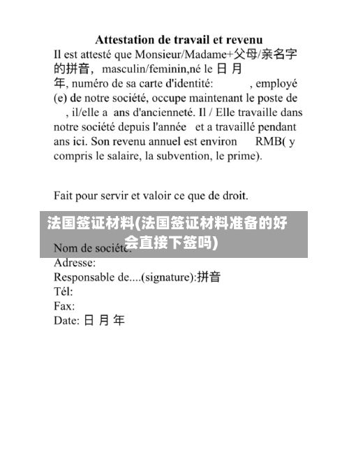 法国签证材料(法国签证材料准备的好会直接下签吗)