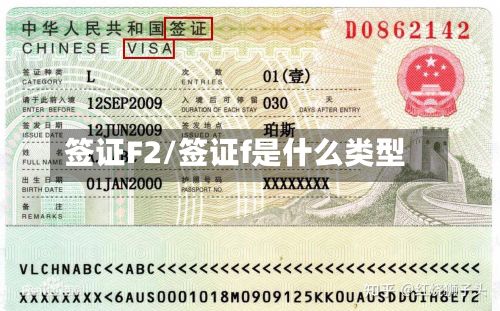 签证F2/签证f是什么类型
