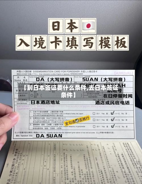 【到日本签证要什么条件,去日本签证条件】-第2张图片