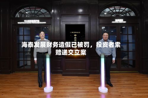 海泰发展财务造假已被罚，投资者索赔递交立案-第3张图片