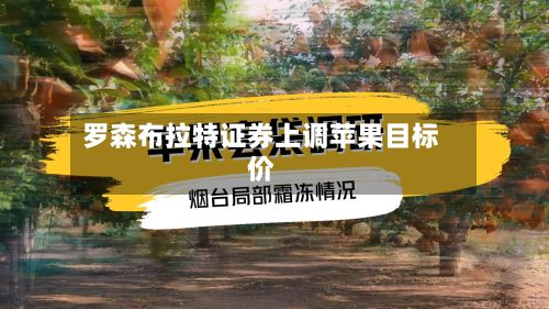罗森布拉特证券上调苹果目标价-第3张图片