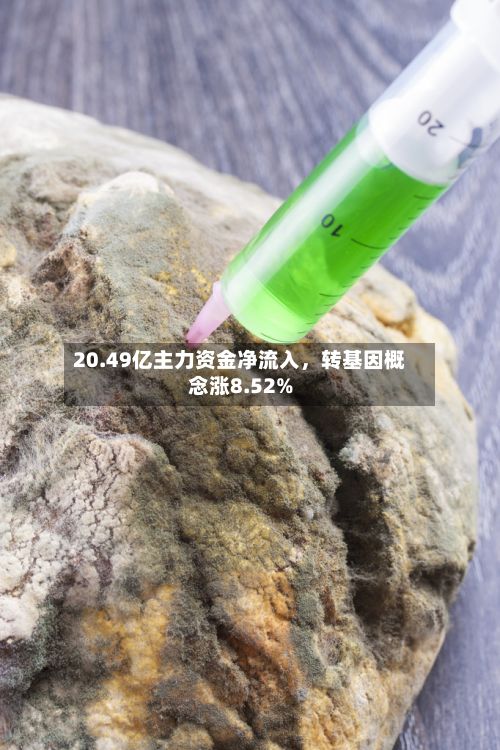 20.49亿主力资金净流入，转基因概念涨8.52%-第2张图片