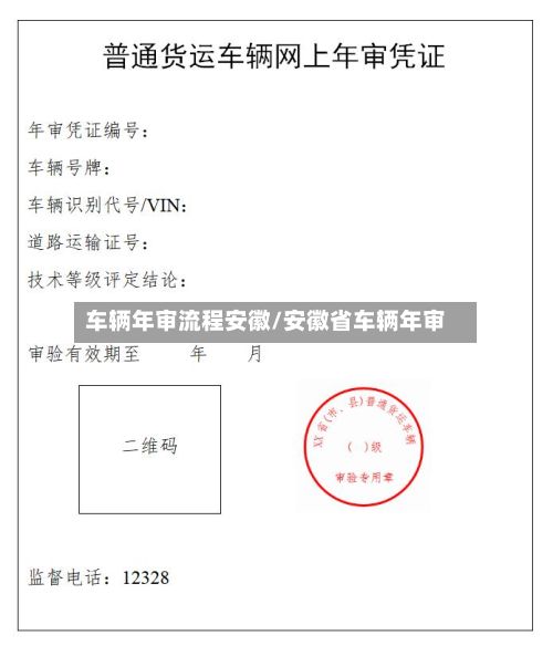 车辆年审流程安徽/安徽省车辆年审