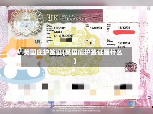 英国庇护签证(英国庇护签证是什么)-第2张图片