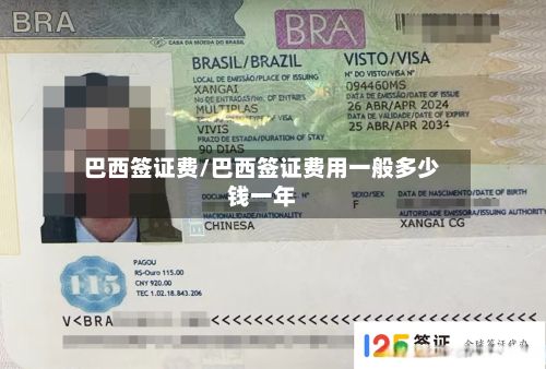 巴西签证费/巴西签证费用一般多少钱一年