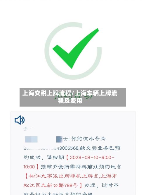 上海交税上牌流程/上海车辆上牌流程及费用