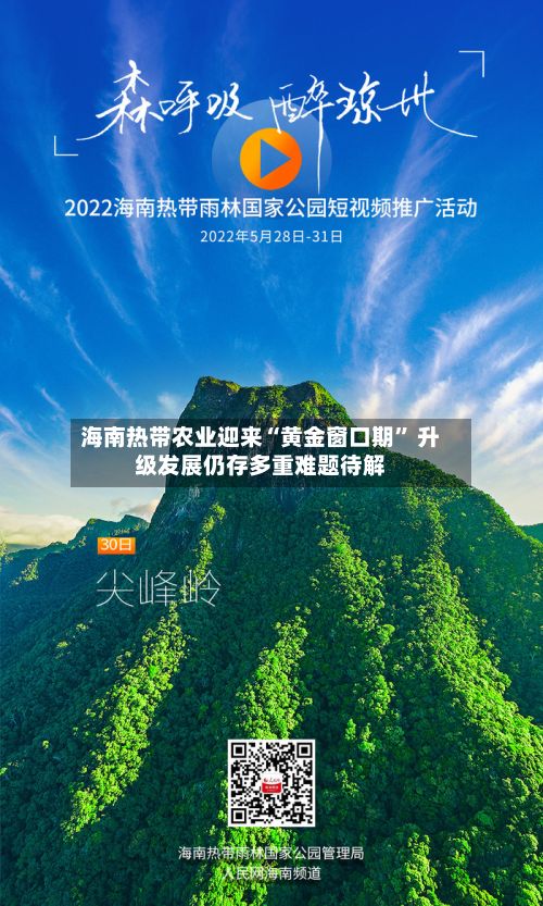 海南热带农业迎来“黄金窗口期” 升级发展仍存多重难题待解-第2张图片