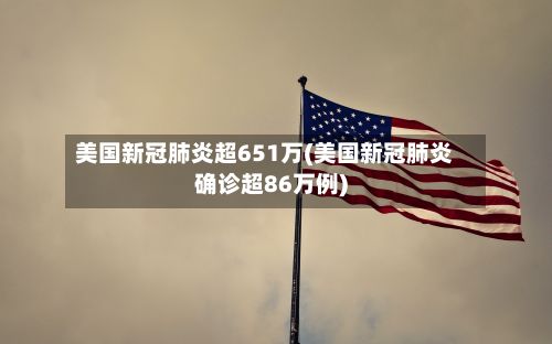 美国新冠肺炎超651万(美国新冠肺炎确诊超86万例)
