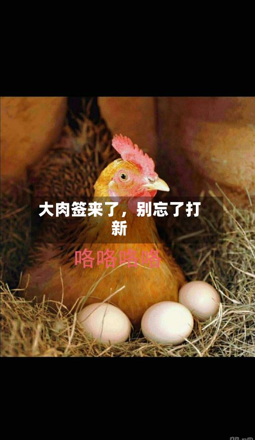 大肉签来了，别忘了打新-第3张图片
