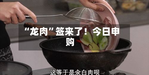 “龙肉”签来了！今日申购