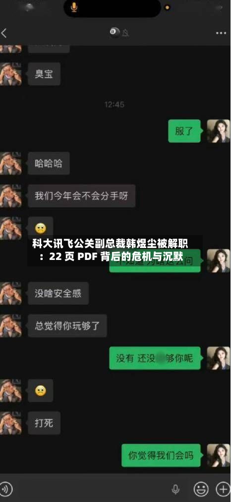 科大讯飞公关副总裁韩煜尘被解职：22 页 PDF 背后的危机与沉默-第2张图片