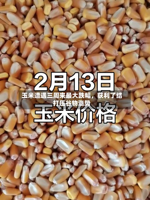 玉米遭遇三周来最大跌幅，获利了结打压谷物涨势-第2张图片