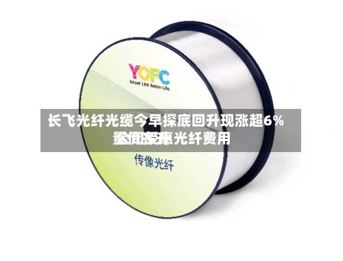 长飞光纤光缆今早探底回升现涨超6% 公司受惠光纤费用量价齐升-第2张图片