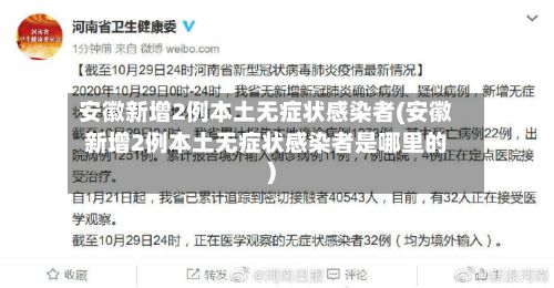 安徽新增2例本土无症状感染者(安徽新增2例本土无症状感染者是哪里的)-第2张图片