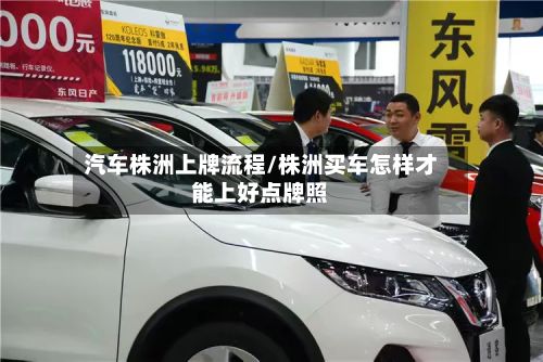 汽车株洲上牌流程/株洲买车怎样才能上好点牌照-第2张图片