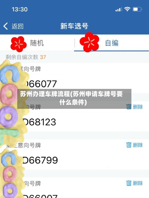 苏州办理车牌流程(苏州申请车牌号要什么条件)-第3张图片
