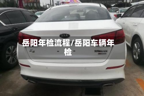岳阳年检流程/岳阳车辆年检