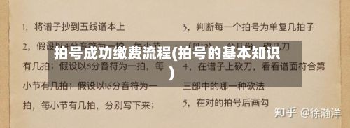 拍号成功缴费流程(拍号的基本知识)