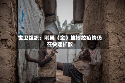 世卫组织:刚果(金)埃博拉疫情仍在快速扩散-第3张图片