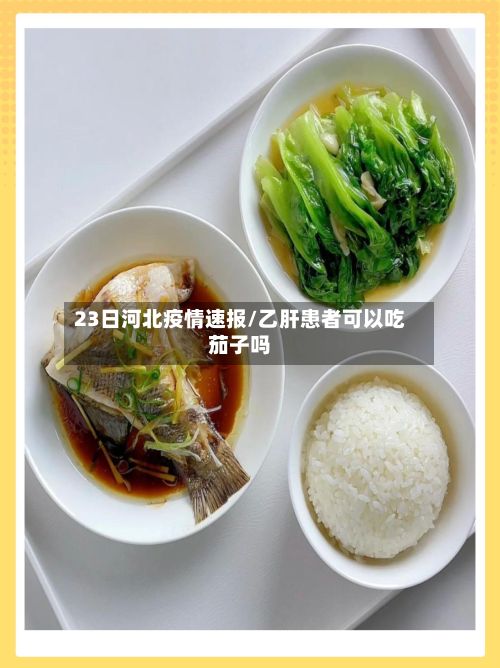 23日河北疫情速报/乙肝患者可以吃茄子吗-第2张图片