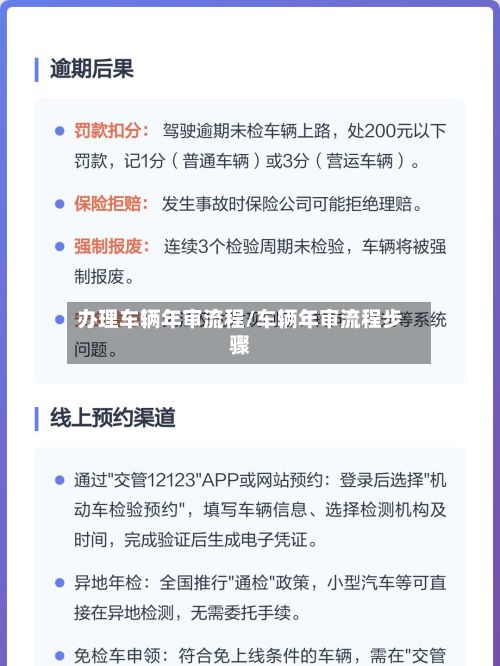 办理车辆年审流程/车辆年审流程步骤