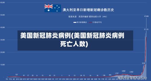 美国新冠肺炎病例(美国新冠肺炎病例死亡人数)
