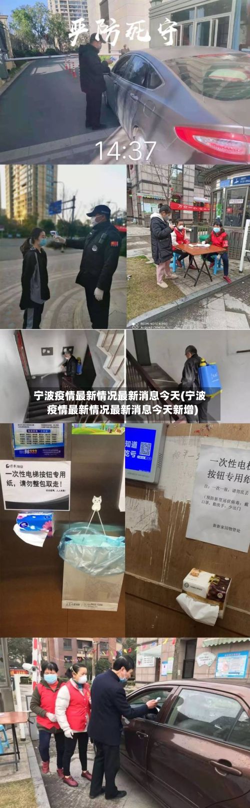 宁波疫情最新情况最新消息今天(宁波疫情最新情况最新消息今天新增)