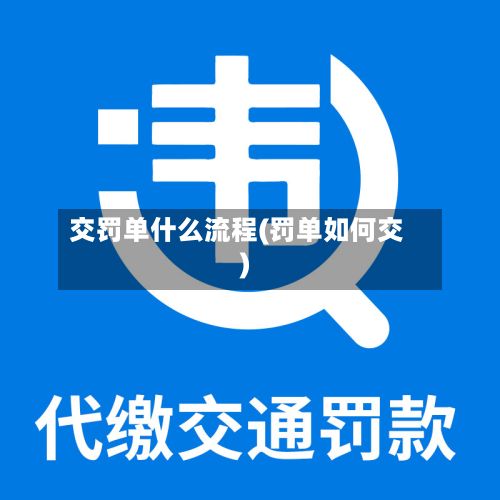 交罚单什么流程(罚单如何交)
